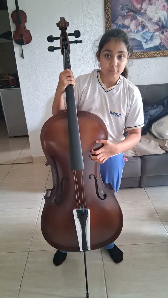 foto de Violoncelo Barth 4/4 Old (envelhecido)+ Capa Bag+ Breu+ Arco