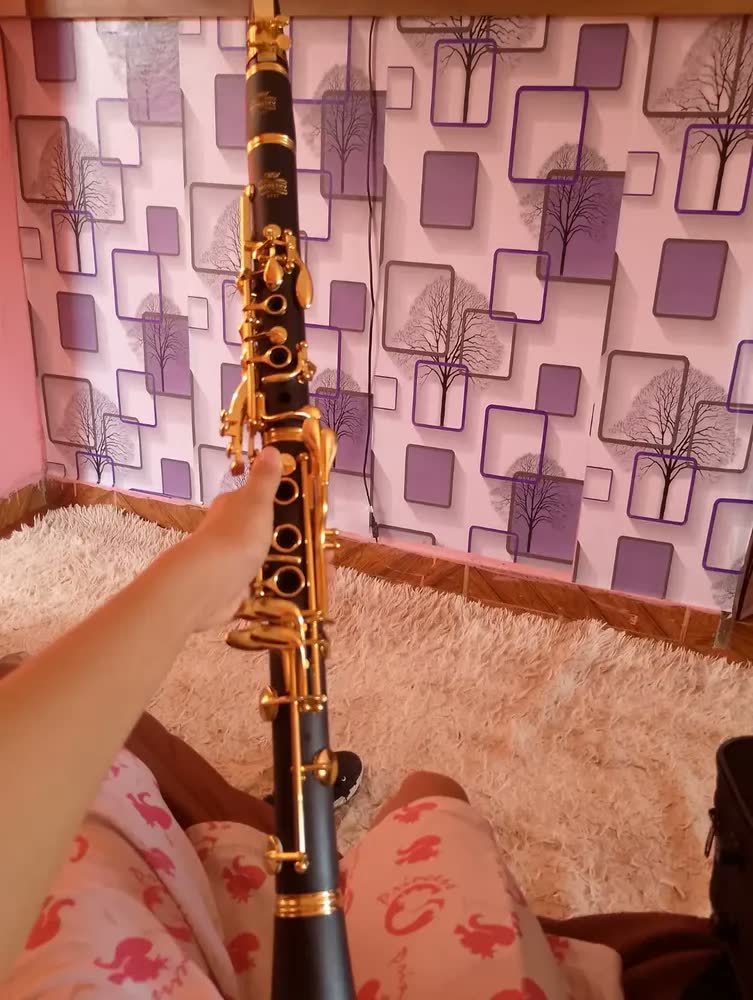 foto de Clarinete Em Si Bemol 17 Chaves (dourada) - Ccb