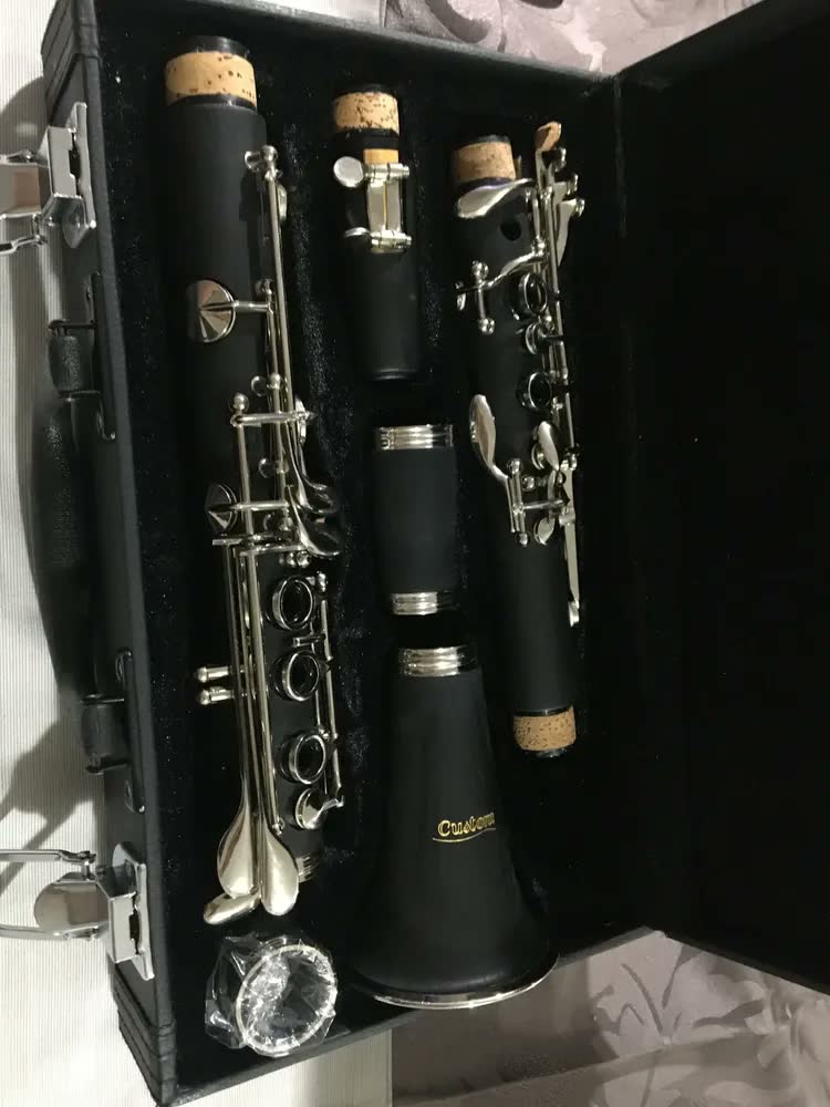 foto de Clarinete Alto Custom Si Bemol 17 Chaves Niqueladas Prateado Preto