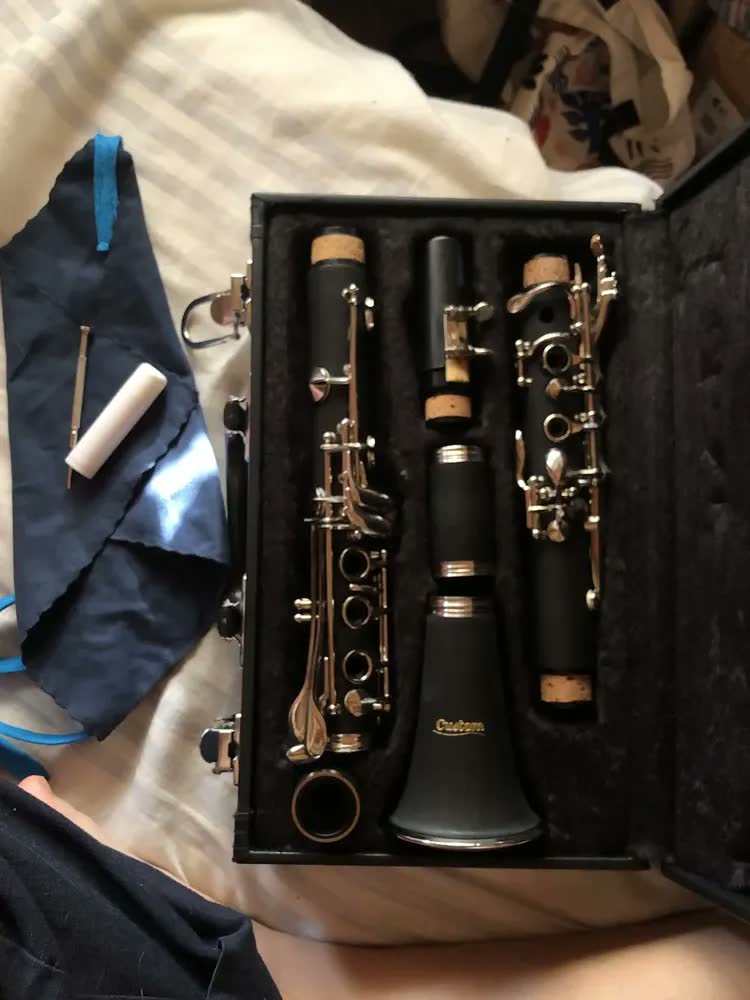foto de Clarinete Alto Custom Si Bemol 17 Chaves Niqueladas Prateado Preto