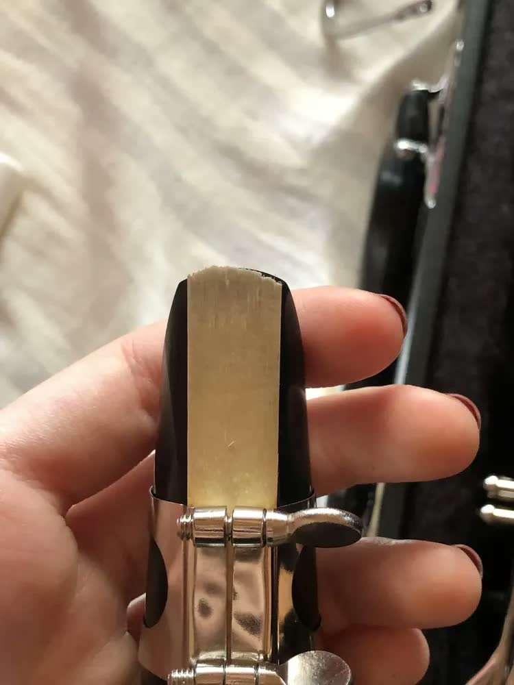 foto de Clarinete Alto Custom Si Bemol 17 Chaves Niqueladas Prateado Preto
