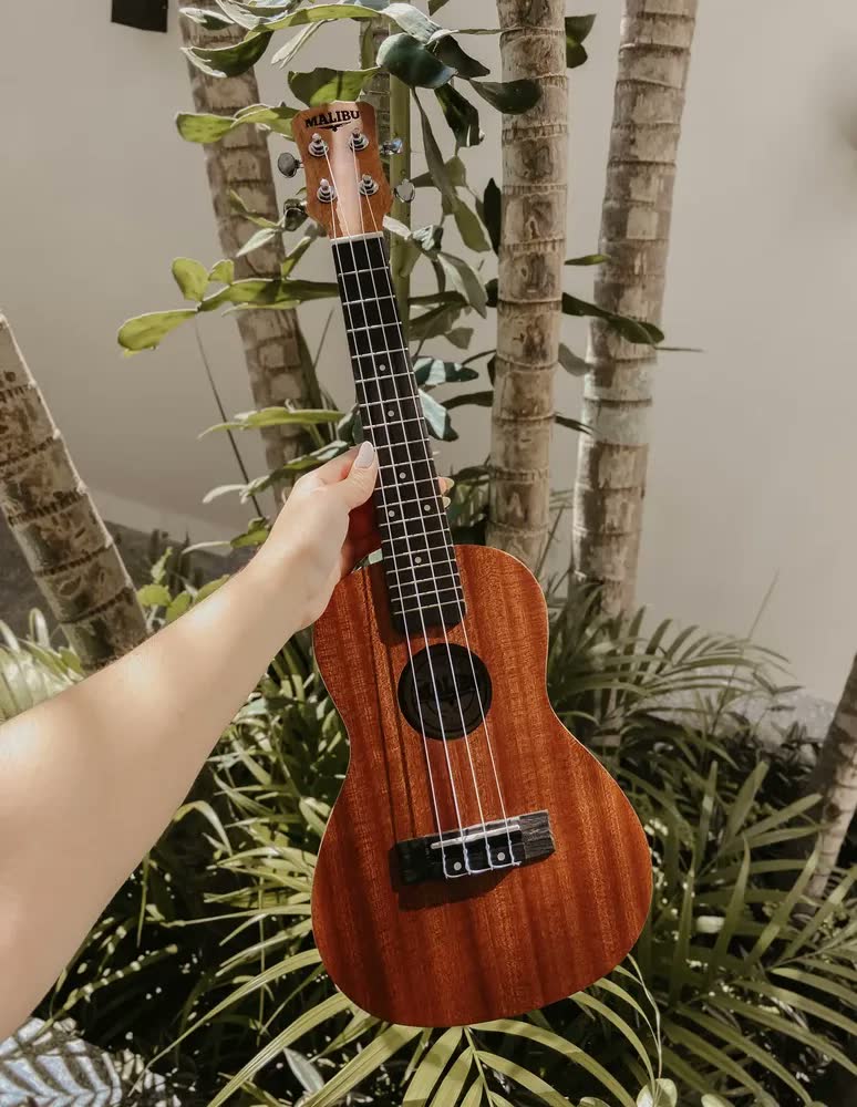 foto de Ukulele Malibu Concert 23 Sapele Natural Com Bag