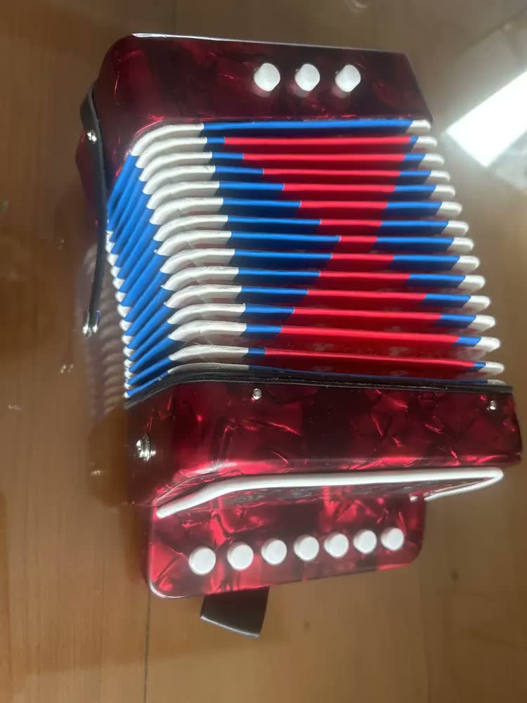 foto de Sanfona Mini Acordeon Infantil 3 Baixos Gaita Estilo Preto