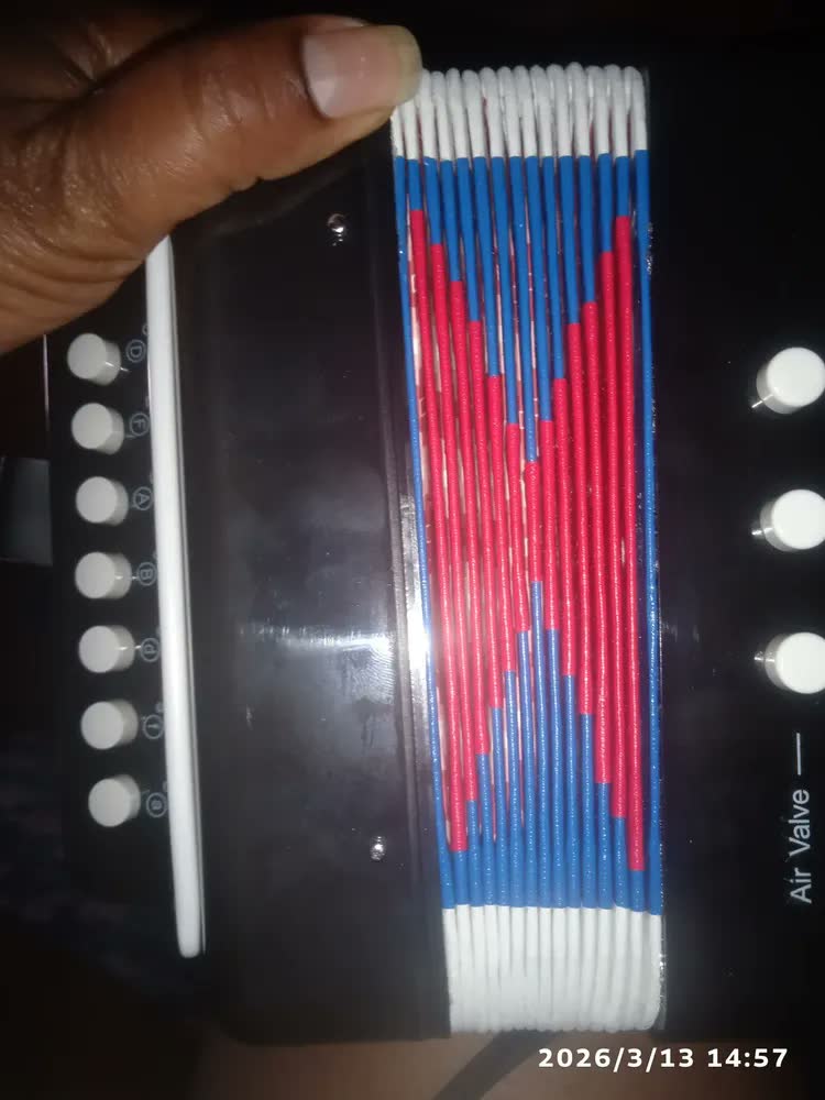 foto de Sanfona Mini Acordeon Infantil 3 Baixos Gaita Estilo Preto