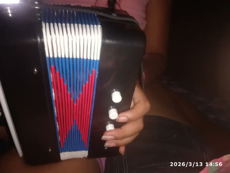 foto de Sanfona Mini Acordeon Infantil 3 Baixos Gaita Estilo Preto