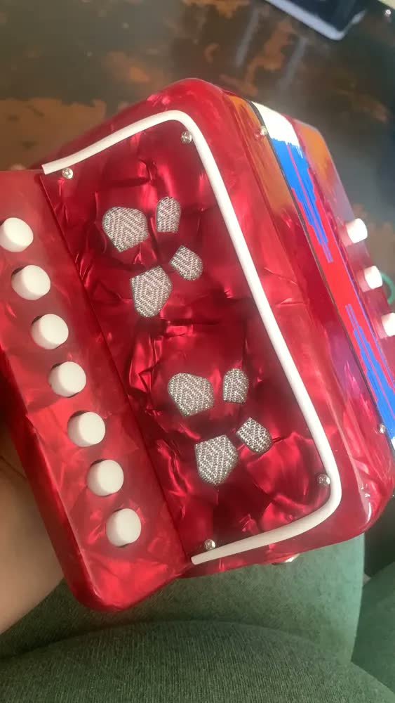 foto de Instrumento Infantil Sanfona Infan Acordeon 3 Baixo 7 Teclas Cor Azul
