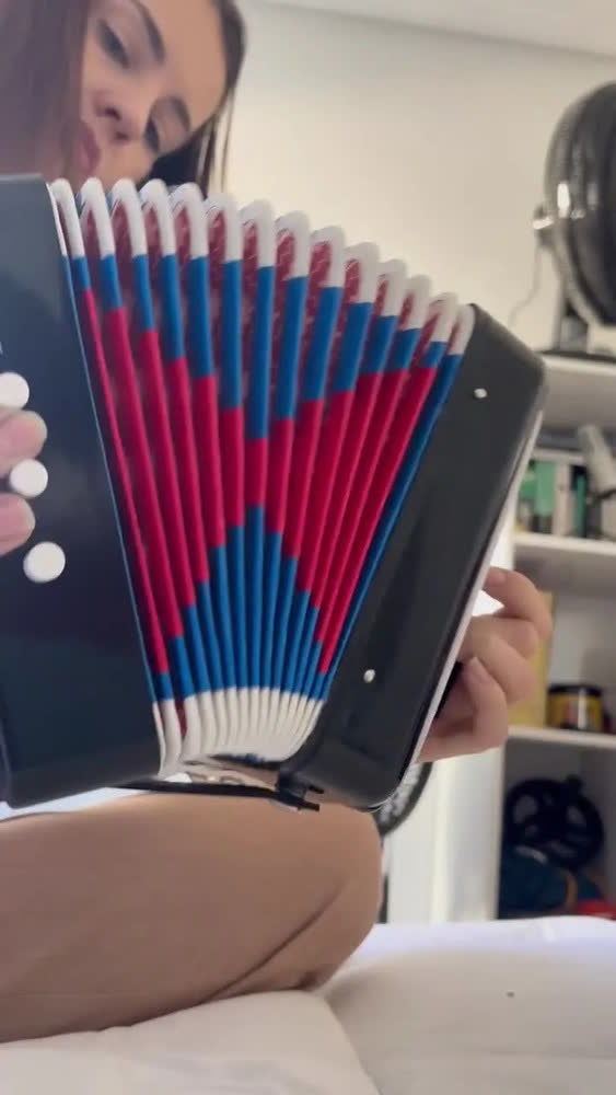 foto de Instrumento Infantil Sanfona Infan Acordeon 3 Baixo 7 Teclas Cor Azul