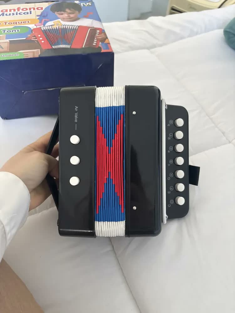 foto de Instrumento Infantil Sanfona Infan Acordeon 3 Baixo 7 Teclas Cor Azul