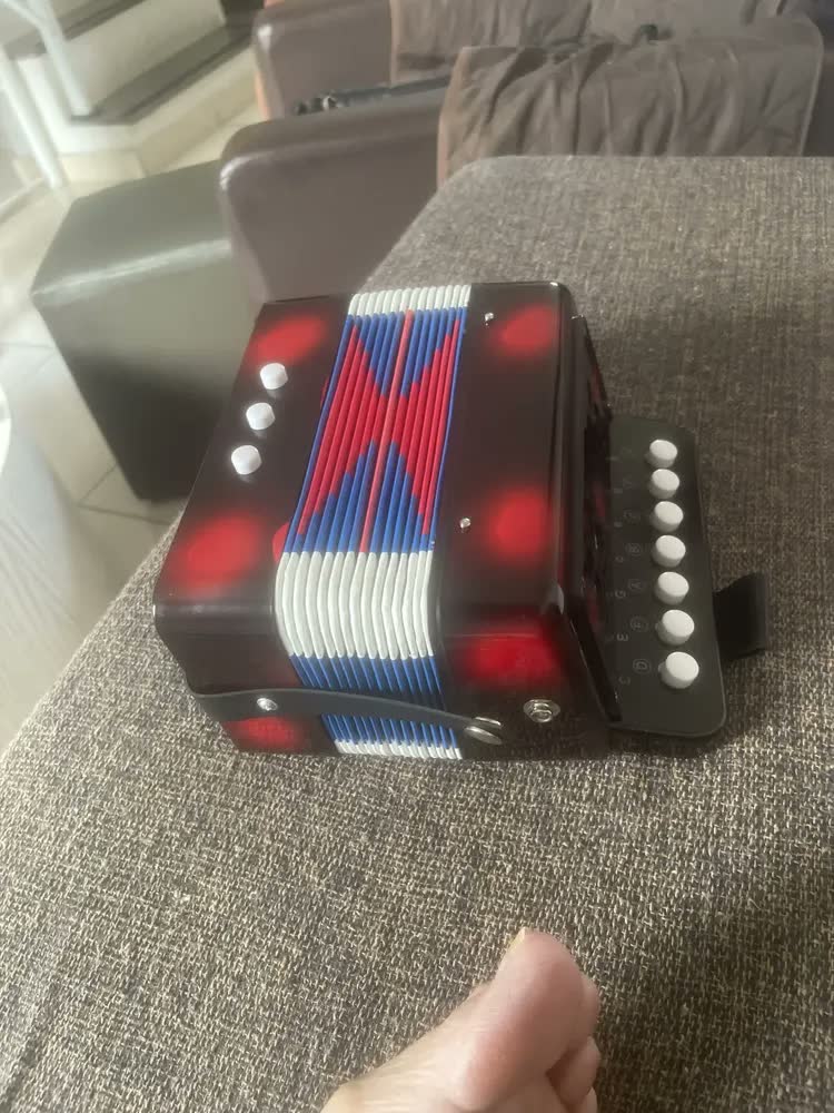 foto de Instrumento Infantil Sanfona Infan Acordeon 3 Baixo 7 Teclas Cor Azul