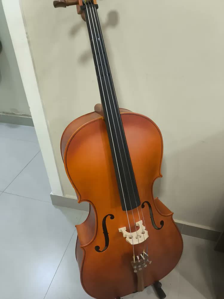 foto de Violoncelo Hofma Hce 110 4/4