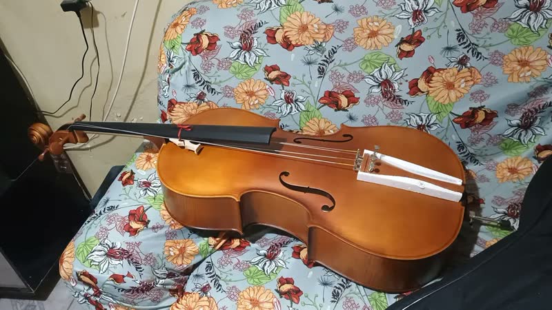 foto de Violoncelo Hofma Hce 110 4/4