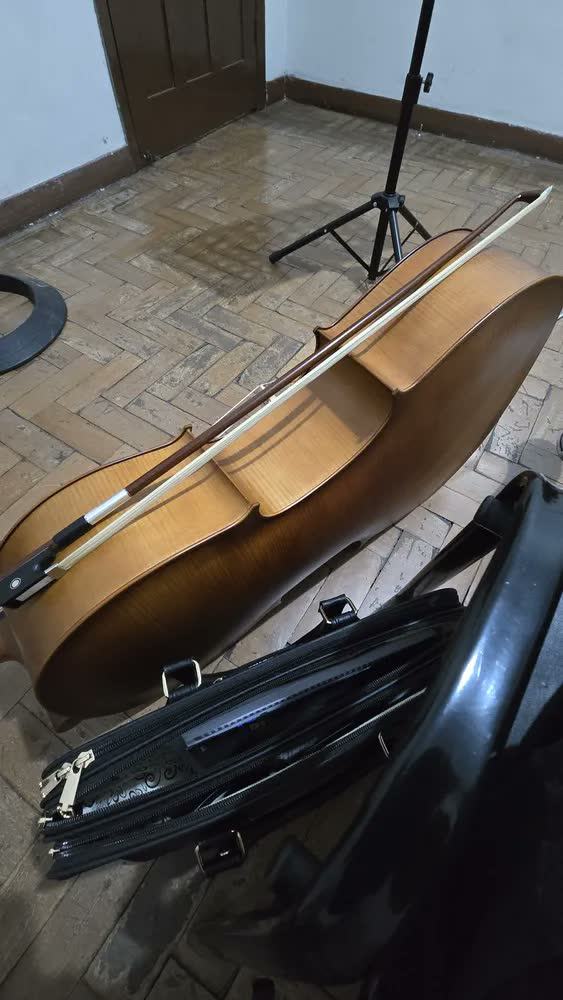 foto de Violoncelo Hofma Hce 110 4/4