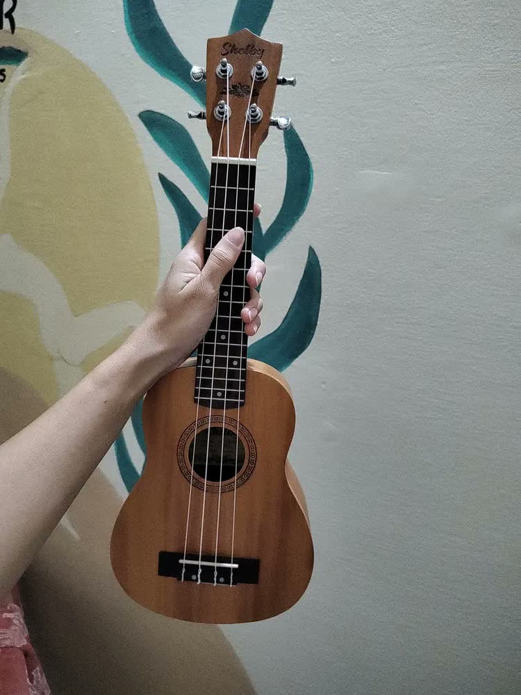 foto de Ukulele Shelby Soprano Su21m Stnt