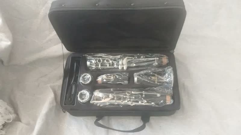 foto de Clarinete Soprano Michael WCLM30N Bb Niq 17 Chaves Resina Baquelite