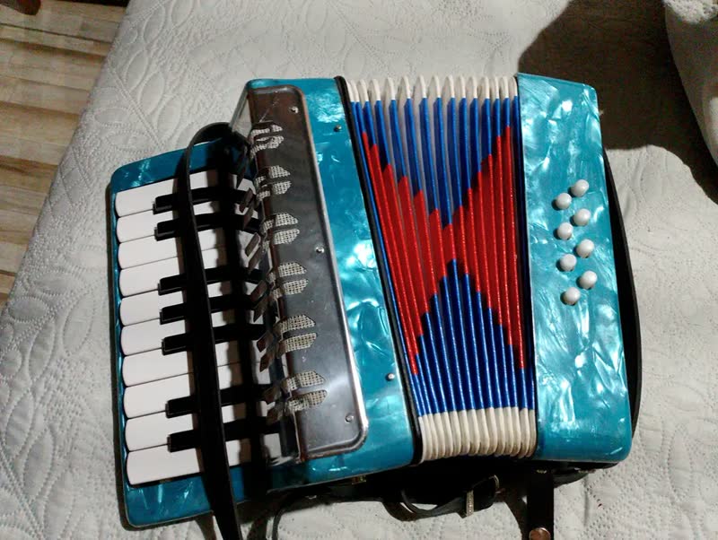 foto de Brinquedo Sanfona Acordeão Gaita Infantil 17 Teclas 8 Baixos