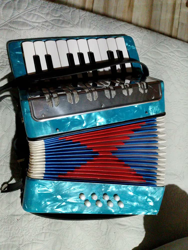 foto de Brinquedo Sanfona Acordeão Gaita Infantil 17 Teclas 8 Baixos