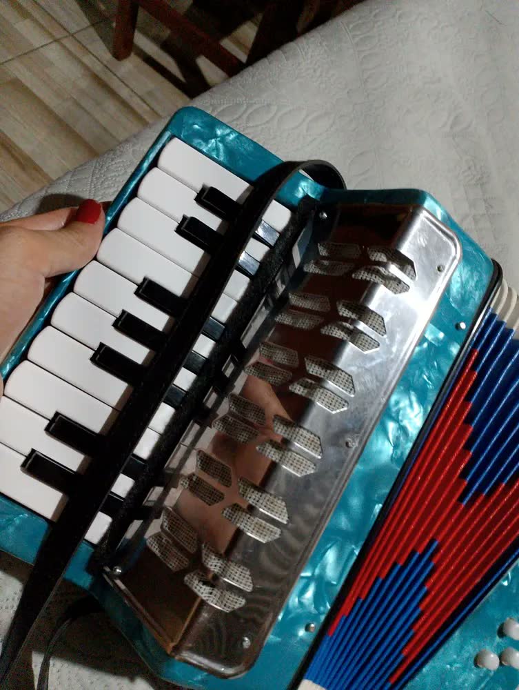 foto de Brinquedo Sanfona Acordeão Gaita Infantil 17 Teclas 8 Baixos