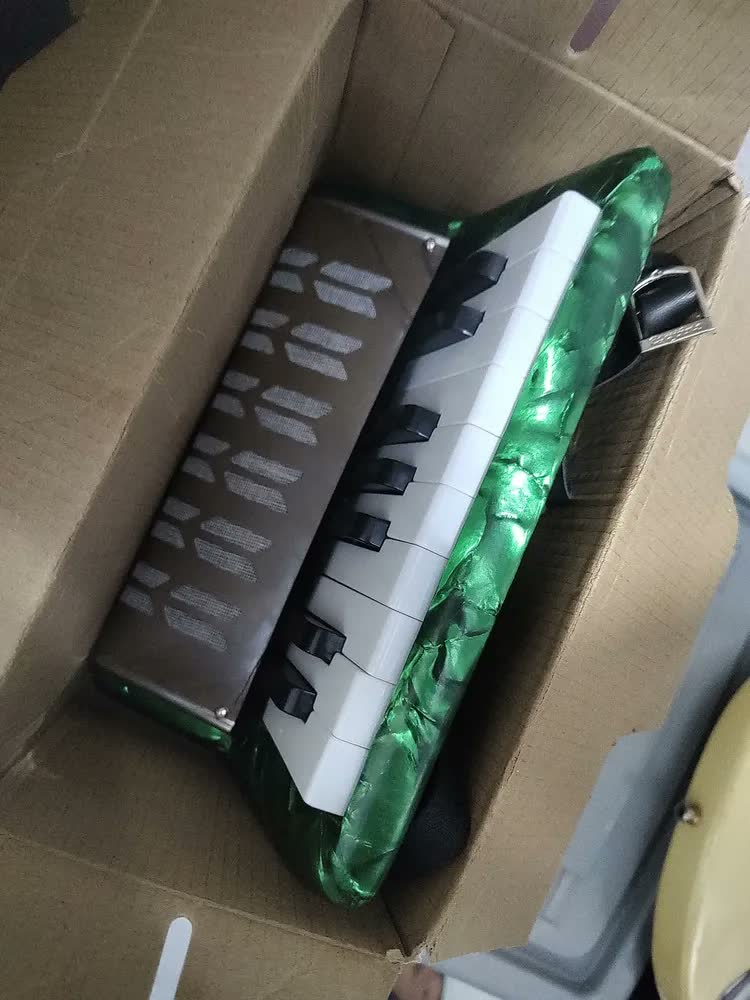 foto de Brinquedo Sanfona Acordeão Gaita Infantil 17 Teclas 8 Baixos