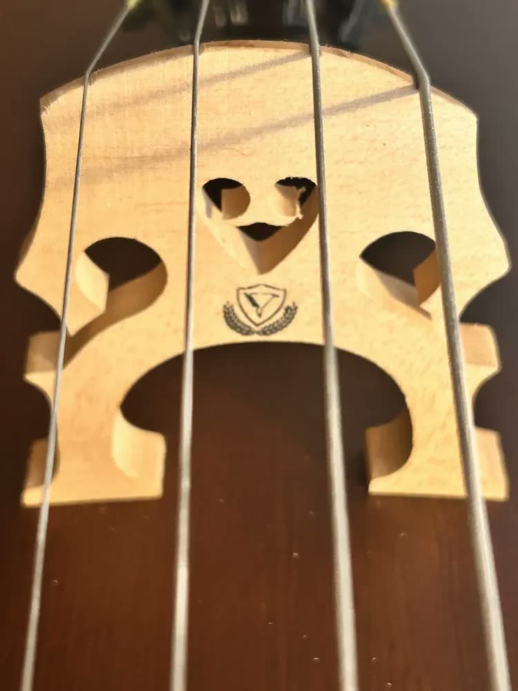 foto de Violoncelo Eagle Ce310