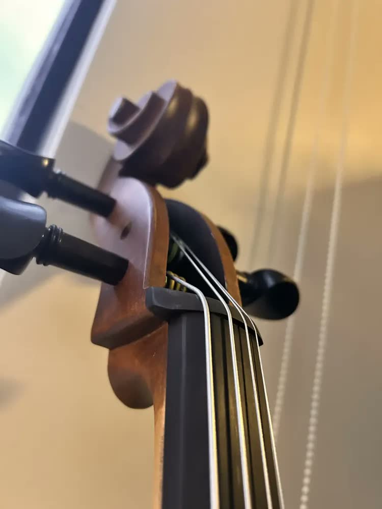 foto de Violoncelo Eagle Ce310