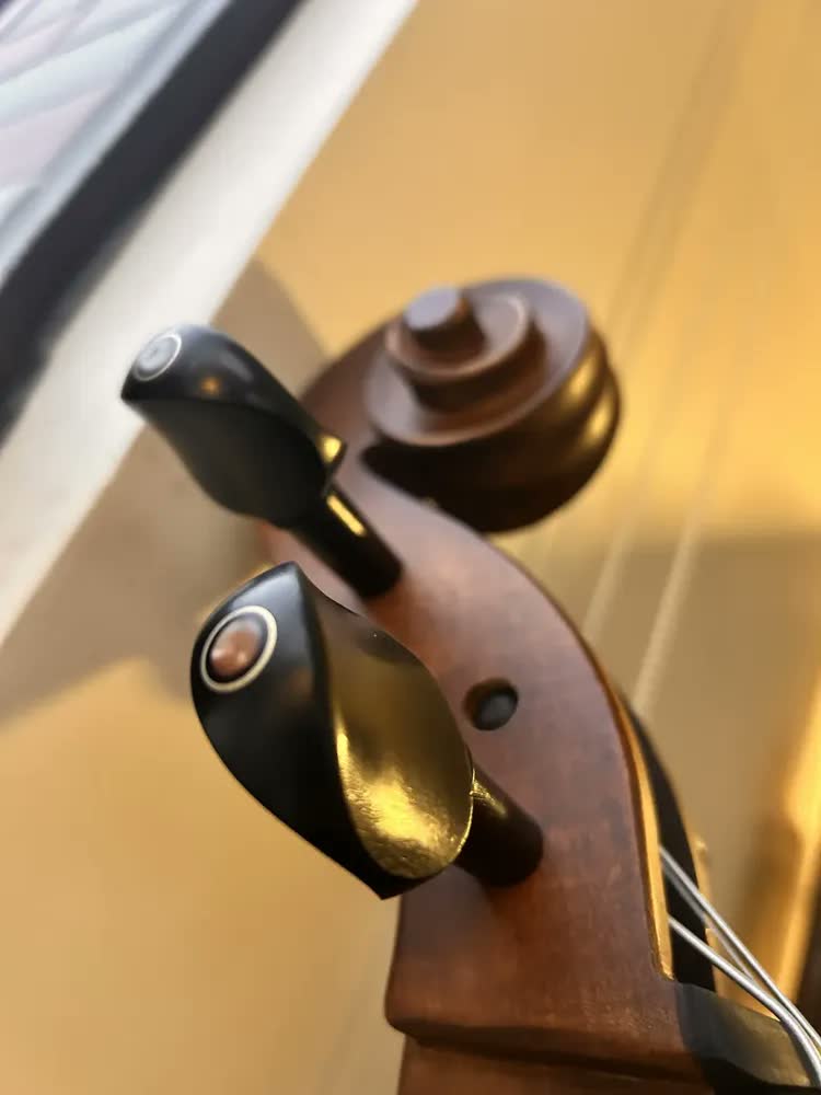 foto de Violoncelo Eagle Ce310