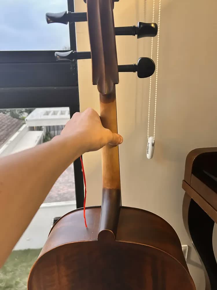 foto de Violoncelo Eagle Ce310