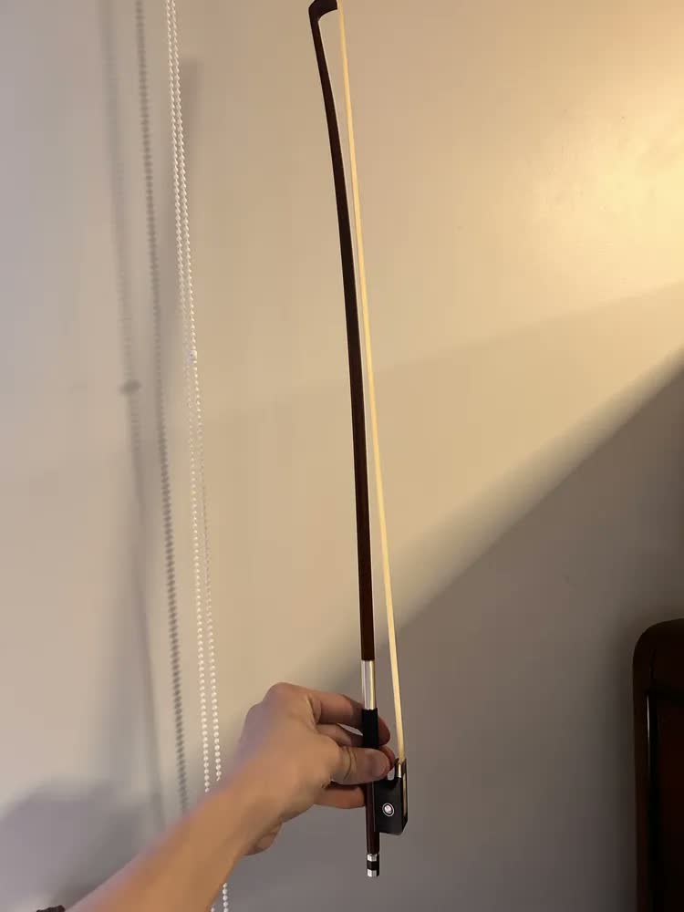 foto de Violoncelo Eagle Ce310