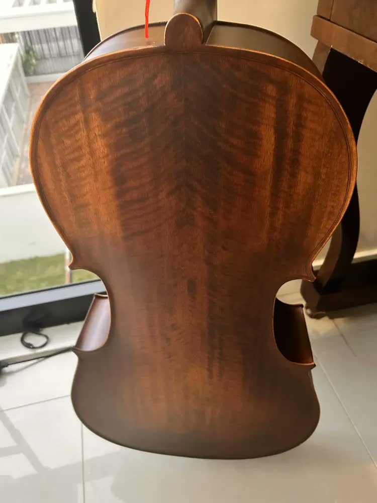 foto de Violoncelo Eagle Ce310
