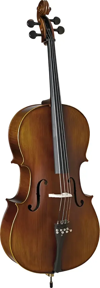 Violoncelo Eagle Ce310