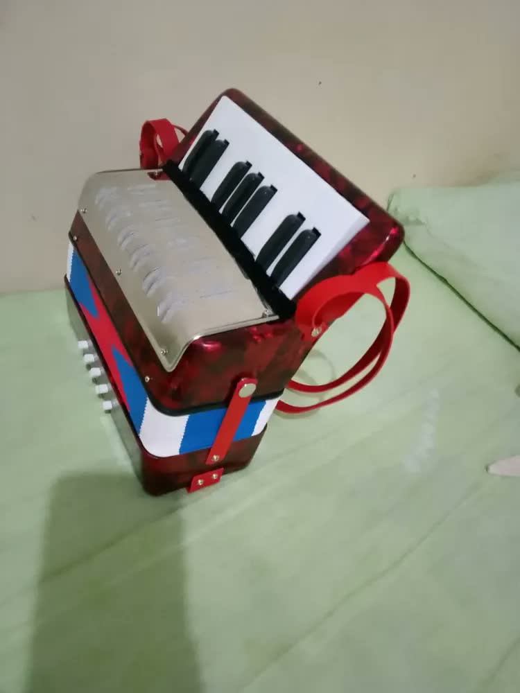 foto de Acordeon Sanfona Infantil Semi Profissional 8 Baixos Notas