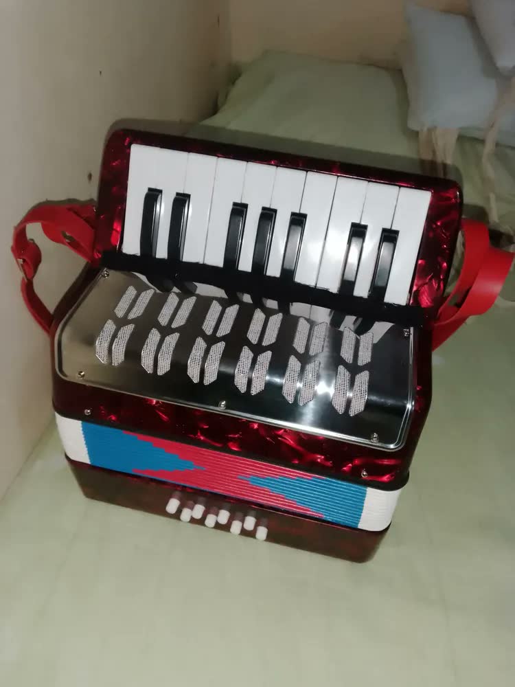 foto de Acordeon Sanfona Infantil Semi Profissional 8 Baixos Notas