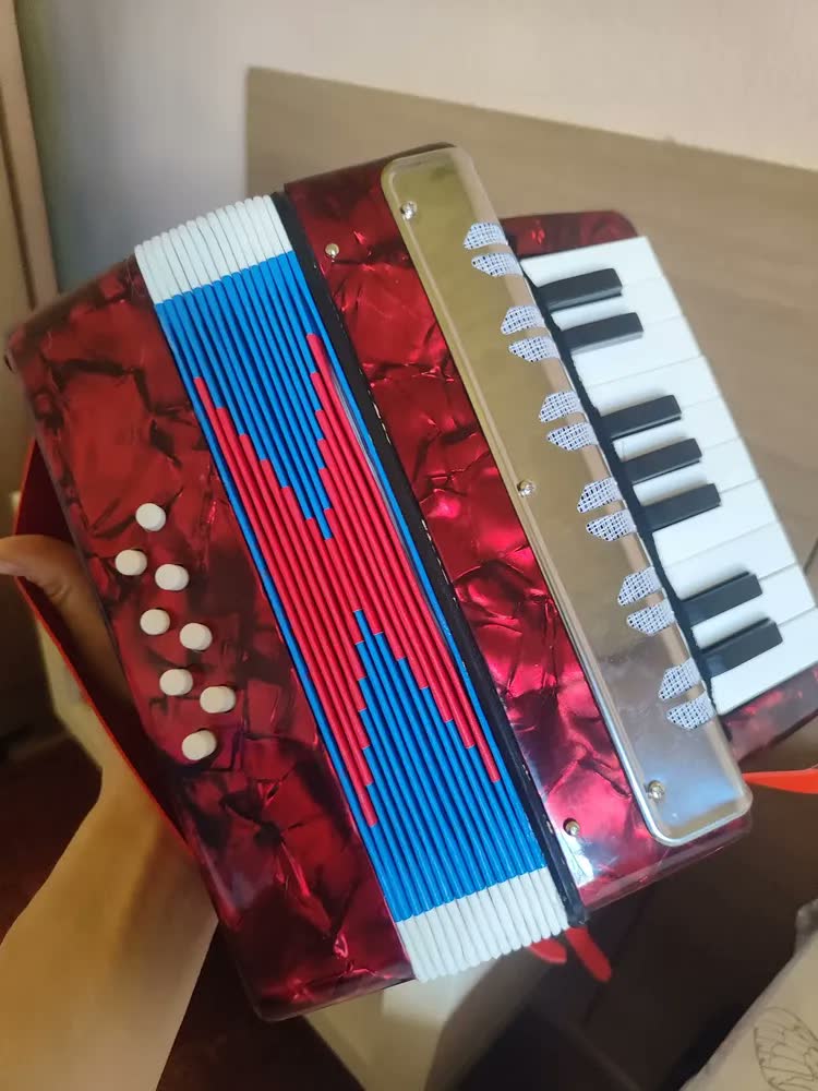 foto de Acordeon Sanfona Infantil Semi Profissional 8 Baixos Notas