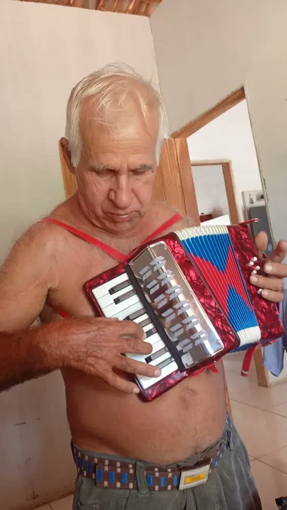 foto de Acordeon Sanfona Infantil Semi Profissional 8 Baixos Notas