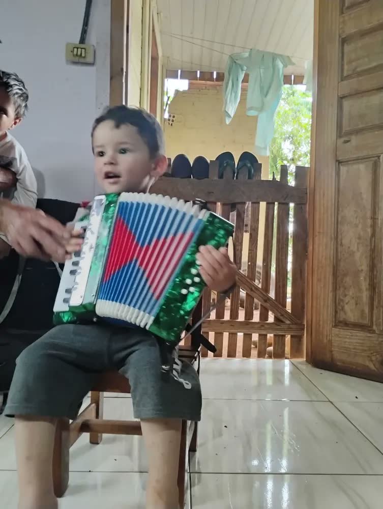 foto de Acordeon Sanfona Infantil Semi Profissional 8 Baixos Notas