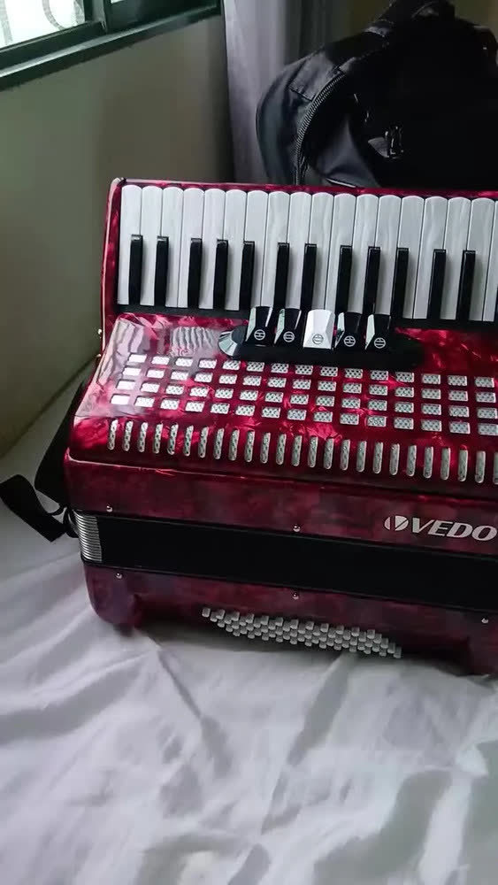 foto de Acordeon Profissional Vedo 34 Teclas 60 Baixos Em Madeira