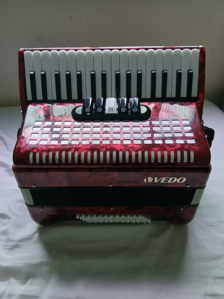 foto de Acordeon Profissional Vedo 34 Teclas 60 Baixos Em Madeira