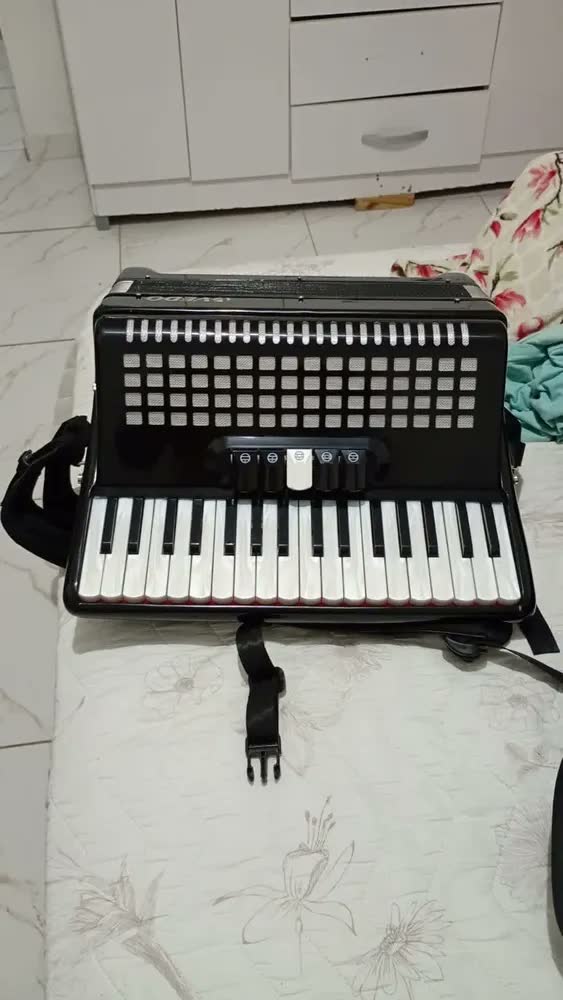foto de Acordeon Profissional Vedo 34 Teclas 60 Baixos Em Madeira