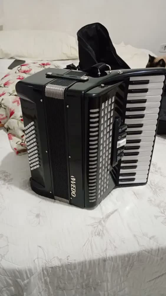 foto de Acordeon Profissional Vedo 34 Teclas 60 Baixos Em Madeira