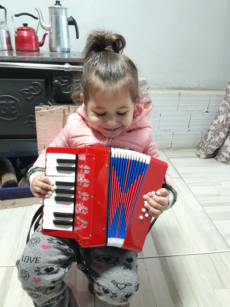 foto de Sanfona Infantil Brinquedo Acordeon 8 Baixos 17 Teclas Musical Criança