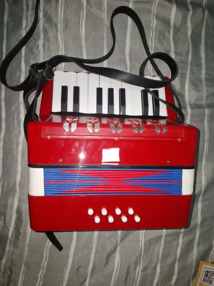 foto de Sanfona Infantil Brinquedo Acordeon 8 Baixos 17 Teclas Musical Criança