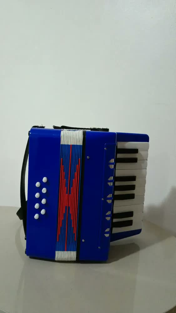 foto de Sanfona Infantil Brinquedo Acordeon 8 Baixos 17 Teclas Musical Criança