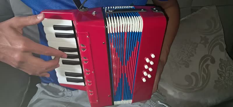foto de Sanfona Infantil Brinquedo Acordeon 8 Baixos 17 Teclas Musical Criança