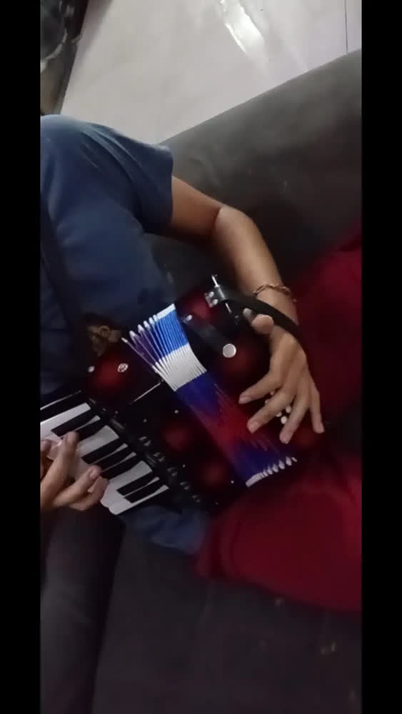 foto de Gaita Sanfona Acordeon Iniciante 8 Baixos 17 Teclas Brinquedo Crianças Sanfona Infantil Brinquedo Musical Preto Kizumba