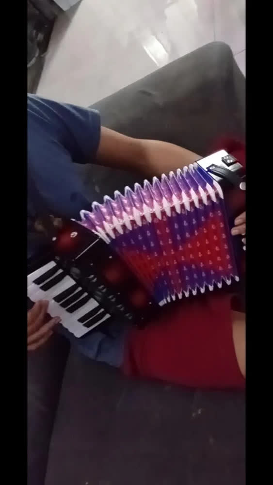 foto de Gaita Sanfona Acordeon Iniciante 8 Baixos 17 Teclas Brinquedo Crianças Sanfona Infantil Brinquedo Musical Preto Kizumba