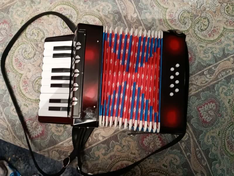 foto de Gaita Sanfona Acordeon Iniciante 8 Baixos 17 Teclas Brinquedo Crianças Sanfona Infantil Brinquedo Musical Preto Kizumba