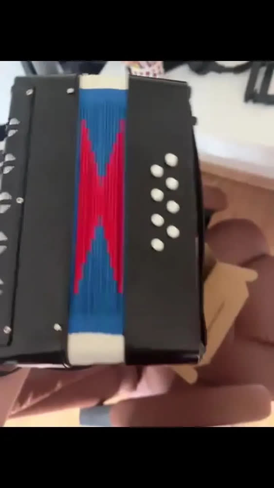 foto de Gaita Sanfona Acordeon Iniciante 8 Baixos 17 Teclas Brinquedo Crianças Sanfona Infantil Brinquedo Musical Preto Kizumba