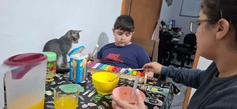 foto de Metalofone Xilofone Infantil 15 Notas Colorido Turbinho